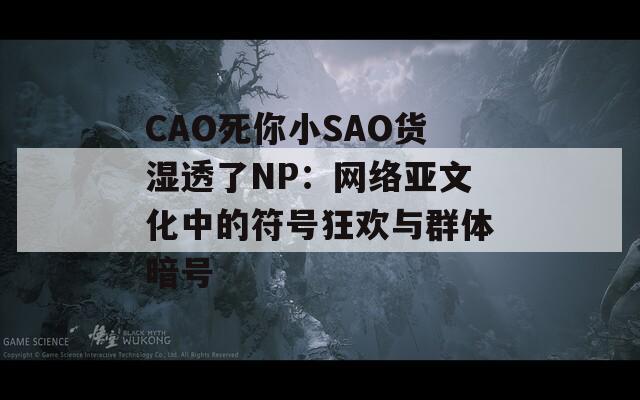 CAO死你小SAO货湿透了NP：网络亚文化中的符号狂欢与群体暗号