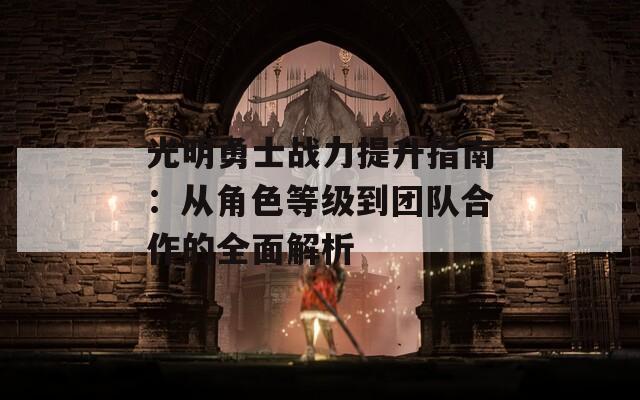 光明勇士战力提升指南：从角色等级到团队合作的全面解析