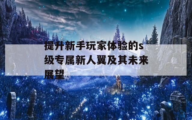 提升新手玩家体验的s级专属新人翼及其未来展望