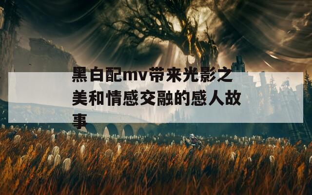 黑白配mv带来光影之美和情感交融的感人故事