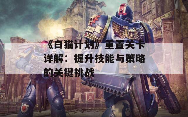 《白猫计划》重置关卡详解：提升技能与策略的关键挑战