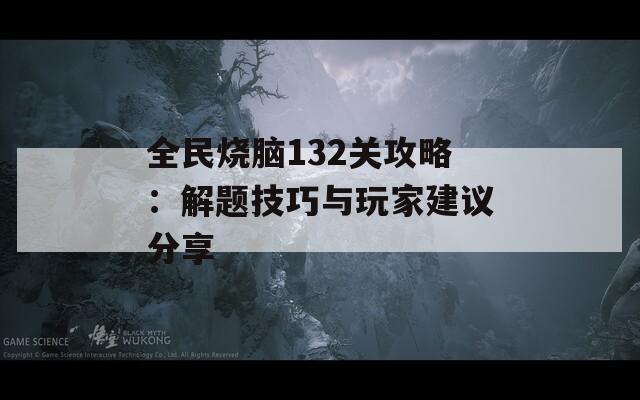 全民烧脑132关攻略：解题技巧与玩家建议分享