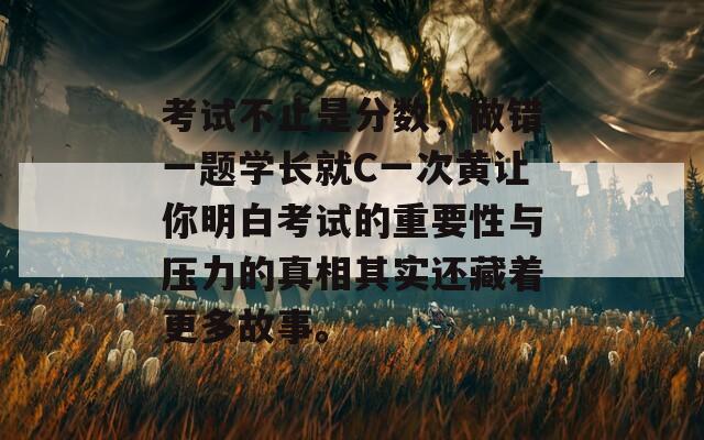 考试不止是分数，做错一题学长就C一次黄让你明白考试的重要性与压力的真相其实还藏着更多故事。