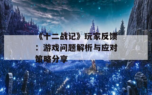 《十二战记》玩家反馈：游戏问题解析与应对策略分享