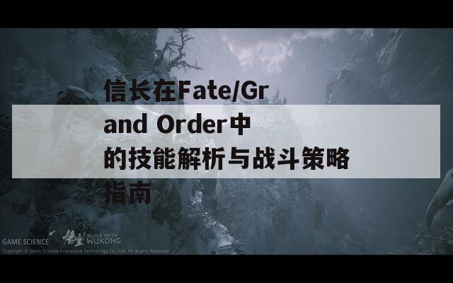 信长在Fate/Grand Order中的技能解析与战斗策略指南