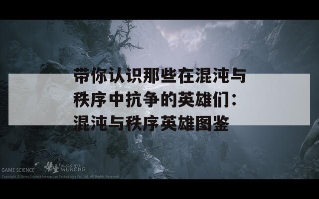 带你认识那些在混沌与秩序中抗争的英雄们：混沌与秩序英雄图鉴