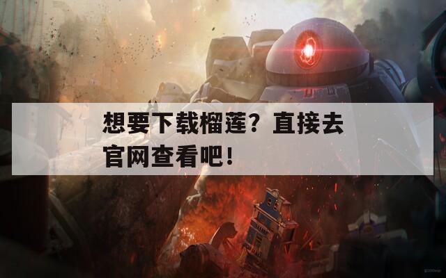 想要下载榴莲？直接去官网查看吧！