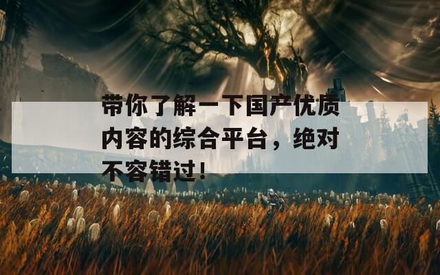 带你了解一下国产优质内容的综合平台，绝对不容错过！