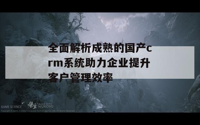 全面解析成熟的国产crm系统助力企业提升客户管理效率