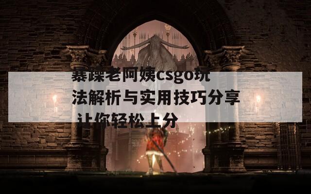 暴躁老阿姨csgo玩法解析与实用技巧分享 让你轻松上分