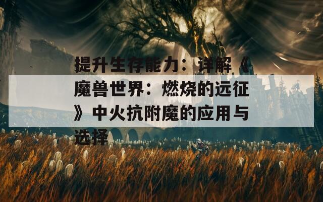 提升生存能力：详解《魔兽世界：燃烧的远征》中火抗附魔的应用与选择