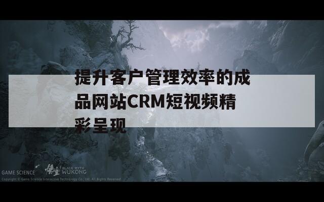 提升客户管理效率的成品网站CRM短视频精彩呈现