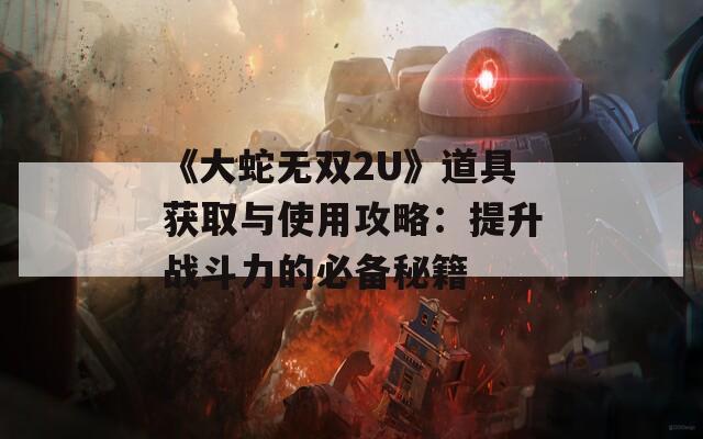 《大蛇无双2U》道具获取与使用攻略：提升战斗力的必备秘籍