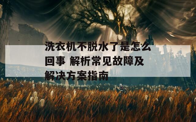 洗衣机不脱水了是怎么回事 解析常见故障及解决方案指南