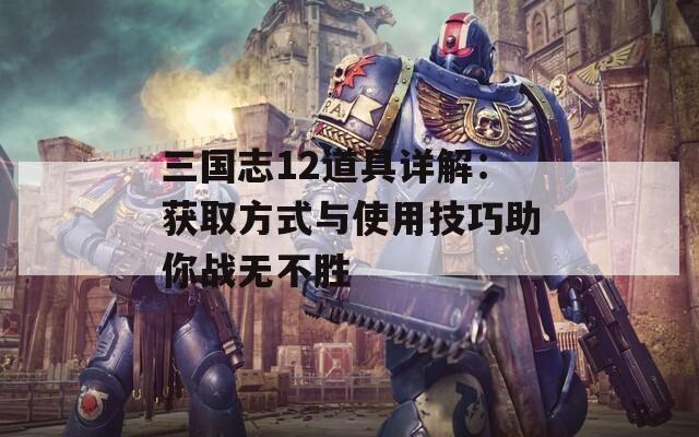 三国志12道具详解：获取方式与使用技巧助你战无不胜