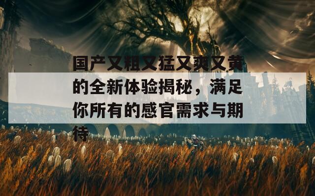 国产又粗又猛又爽又黄的全新体验揭秘，满足你所有的感官需求与期待