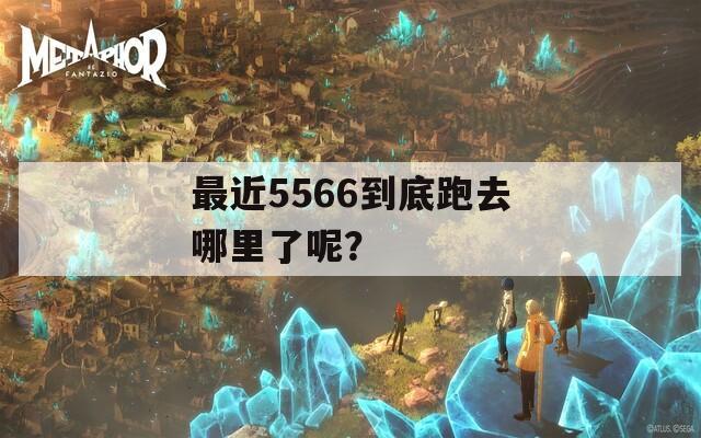 最近5566到底跑去哪里了呢？