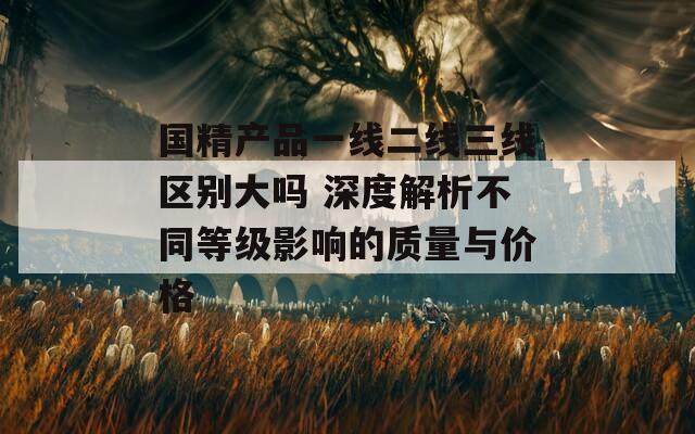 国精产品一线二线三线区别大吗 深度解析不同等级影响的质量与价格