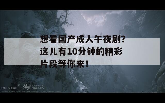 想看国产成人午夜剧？这儿有10分钟的精彩片段等你来！