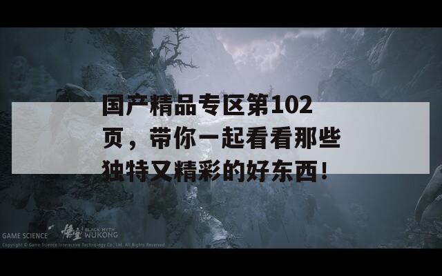 国产精品专区第102页，带你一起看看那些独特又精彩的好东西！