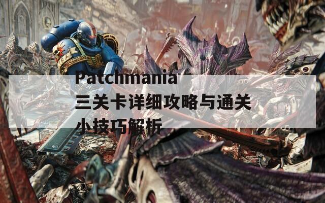 Patchmania三关卡详细攻略与通关小技巧解析