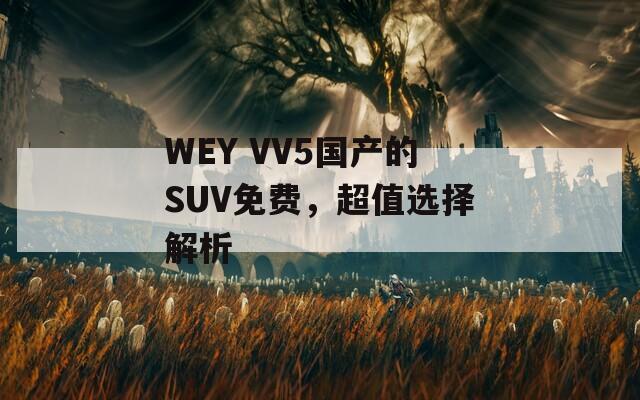 WEY VV5国产的SUV免费，超值选择解析