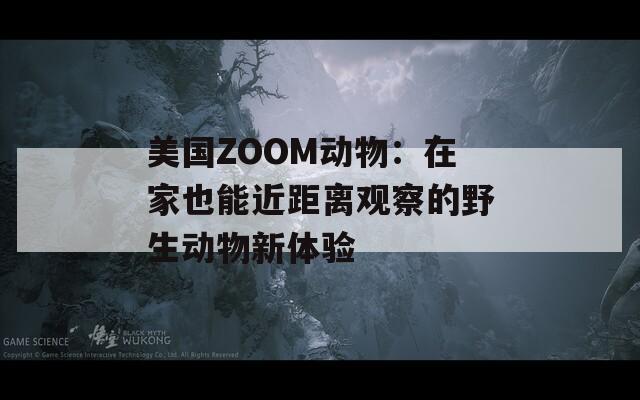 美国ZOOM动物：在家也能近距离观察的野生动物新体验