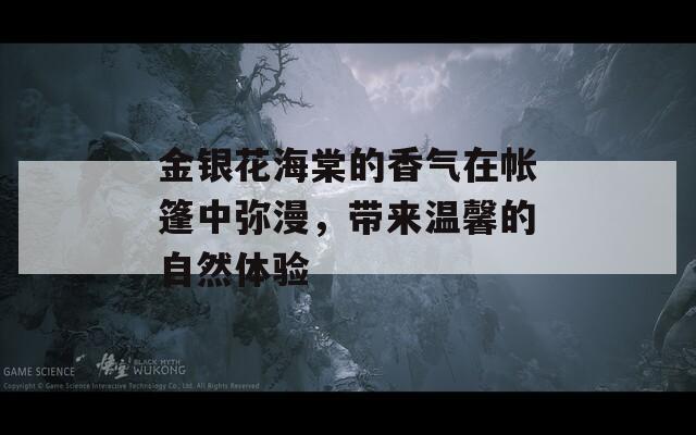 金银花海棠的香气在帐篷中弥漫，带来温馨的自然体验