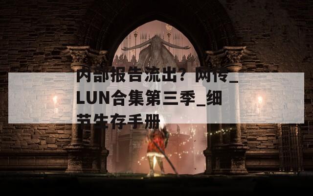 内部报告流出？网传_LUN合集第三季_细节生存手册