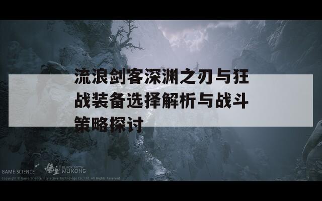 流浪剑客深渊之刃与狂战装备选择解析与战斗策略探讨