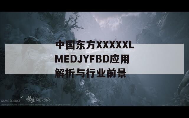 中国东方XXXXXLMEDJYFBD应用解析与行业前景