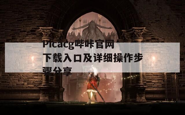 Picacg哔咔官网下载入口及详细操作步骤分享