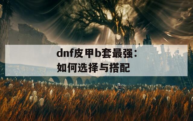 dnf皮甲b套最强：如何选择与搭配