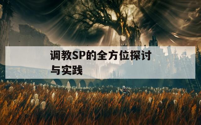 调教SP的全方位探讨与实践