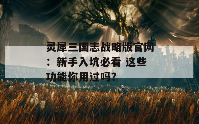 灵犀三国志战略版官网：新手入坑必看 这些功能你用过吗？