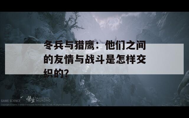 冬兵与猎鹰：他们之间的友情与战斗是怎样交织的？