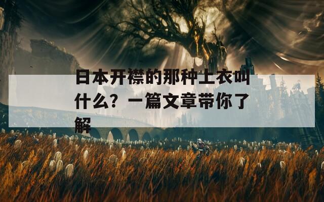 日本开襟的那种上衣叫什么？一篇文章带你了解