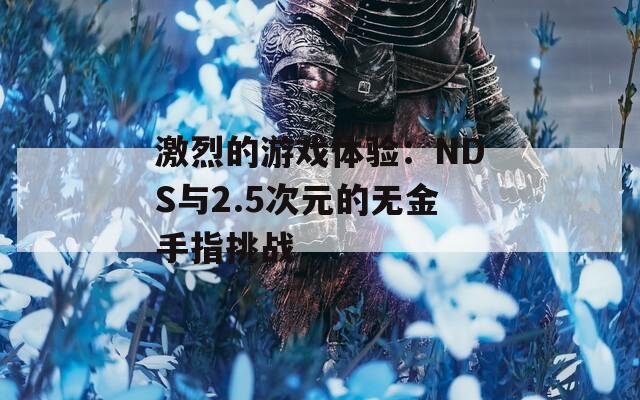 激烈的游戏体验：NDS与2.5次元的无金手指挑战