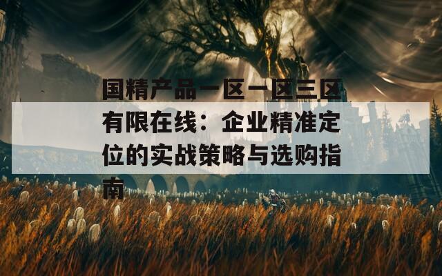 国精产品一区一区三区有限在线：企业精准定位的实战策略与选购指南