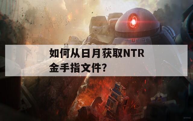 如何从日月获取NTR金手指文件？