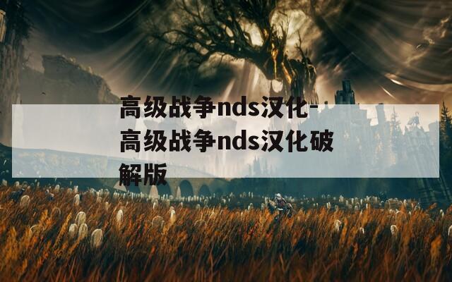 高级战争nds汉化-高级战争nds汉化破解版