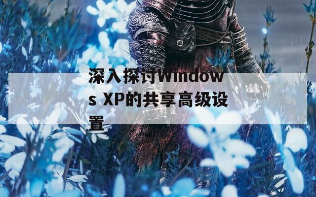 深入探讨Windows XP的共享高级设置