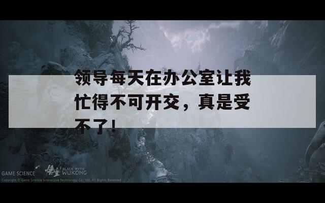 领导每天在办公室让我忙得不可开交，真是受不了！