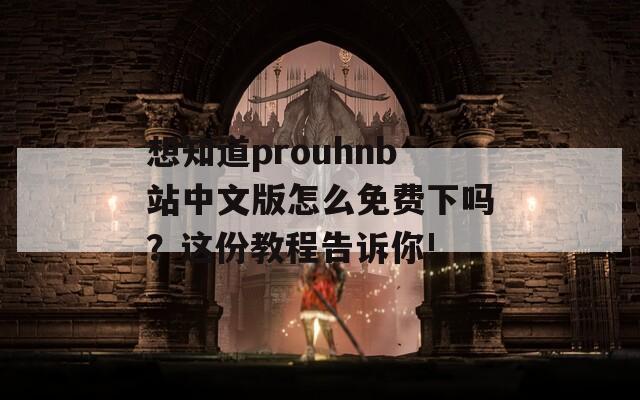 想知道prouhnb站中文版怎么免费下吗？这份教程告诉你!