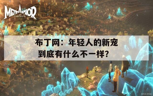 布丁网：年轻人的新宠 到底有什么不一样？