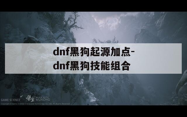 dnf黑狗起源加点-dnf黑狗技能组合