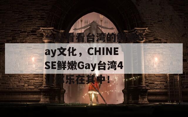 一起看看台湾的鲜嫩Gay文化，CHINESE鲜嫩Gay台湾4让你乐在其中！