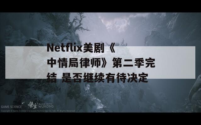 Netflix美剧《中情局律师》第二季完结 是否继续有待决定