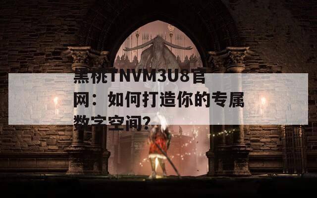 黑桃TNVM3U8官网：如何打造你的专属数字空间？