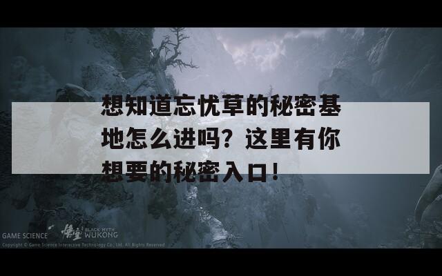 想知道忘忧草的秘密基地怎么进吗？这里有你想要的秘密入口！